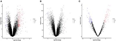 Bioinformatics analysis to identify potential biomarkers and therapeutic targets for ST-segment–elevation myocardial infarction-related ischemic stroke